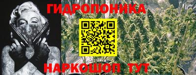 соль ск Рузаевка