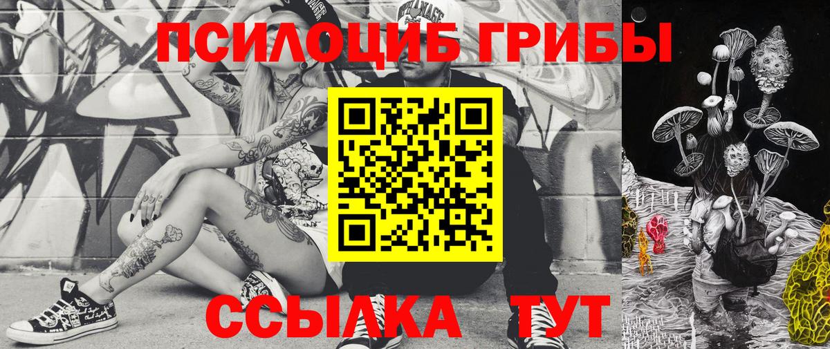 Псилоцибиновые грибы мицелий Реж