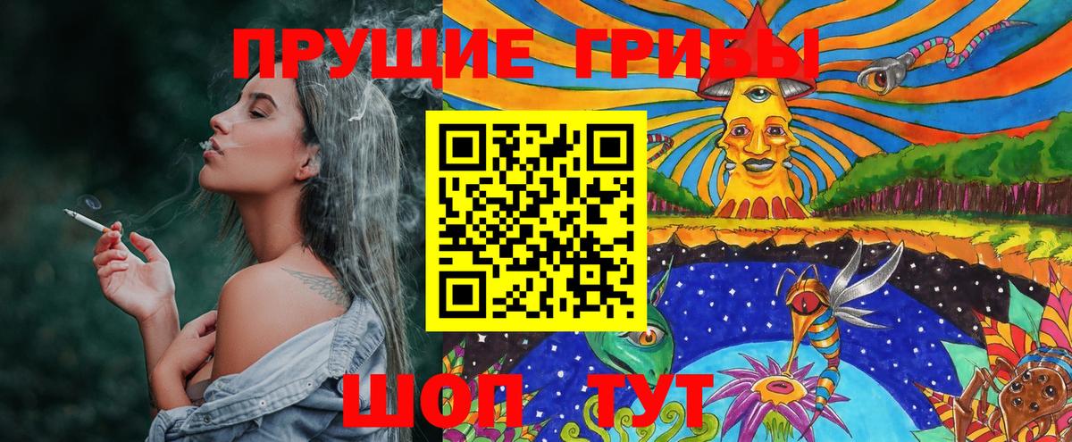 Реж  Псилоцибиновые грибы Cubensis  где можно купить наркотик  Вход с VPN 
