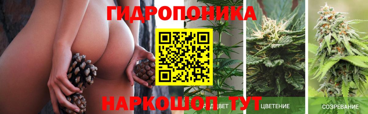 Бошки марихуана Bruce Banner Реж